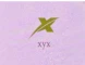 Nanjing Xiyuxun Technology XYX